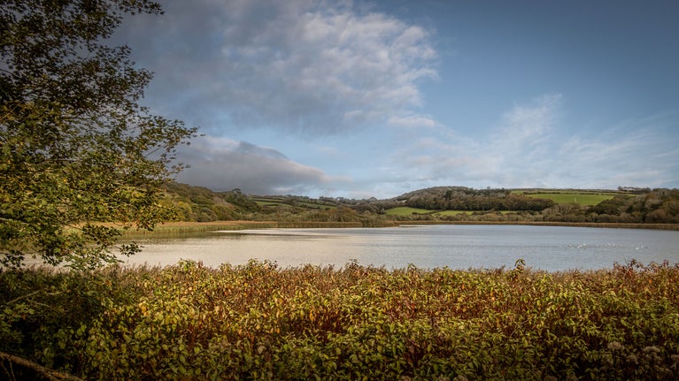 Loe Pool, largest natural freshwater lake in Cornwall, at Penrose, Cornwall